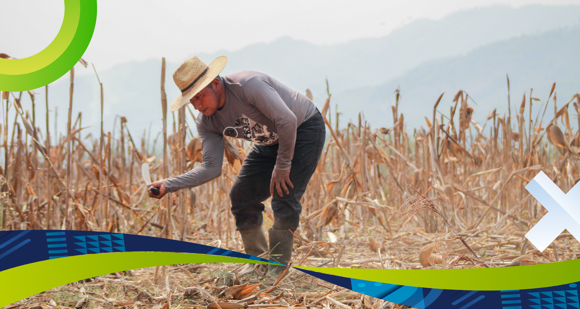 Crédito para Agricultura