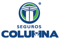 Seguros